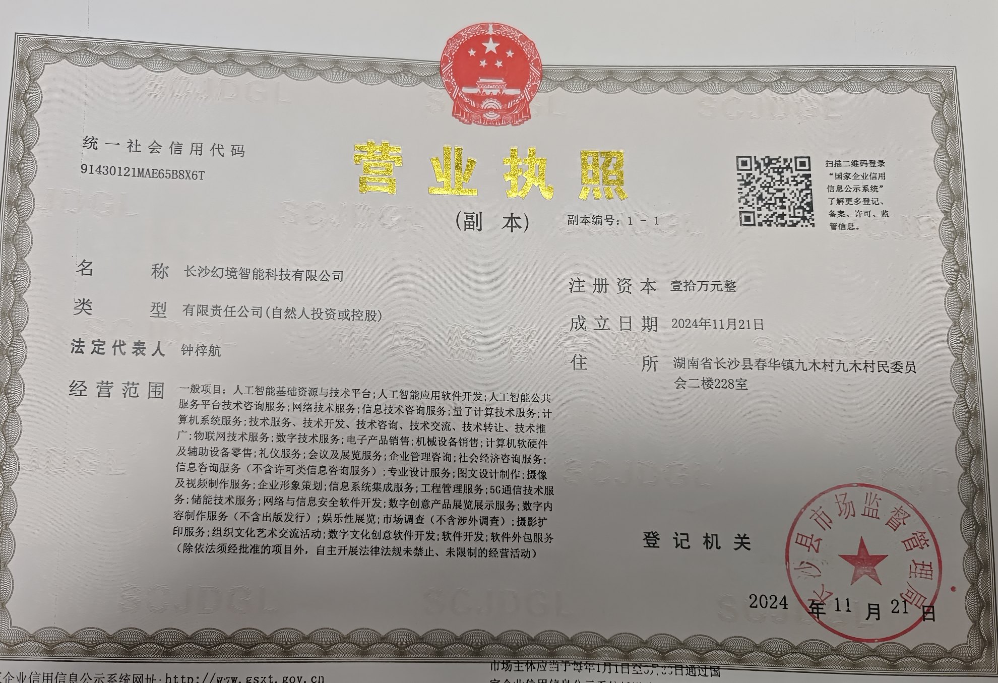 长沙幻境智能科技有限公司营业执照（副本）